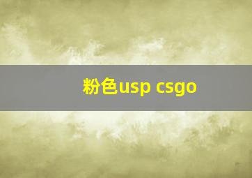 粉色usp csgo